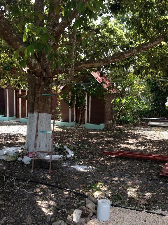 Cabanas Chaac Calakmul Xpujil Bagian luar foto