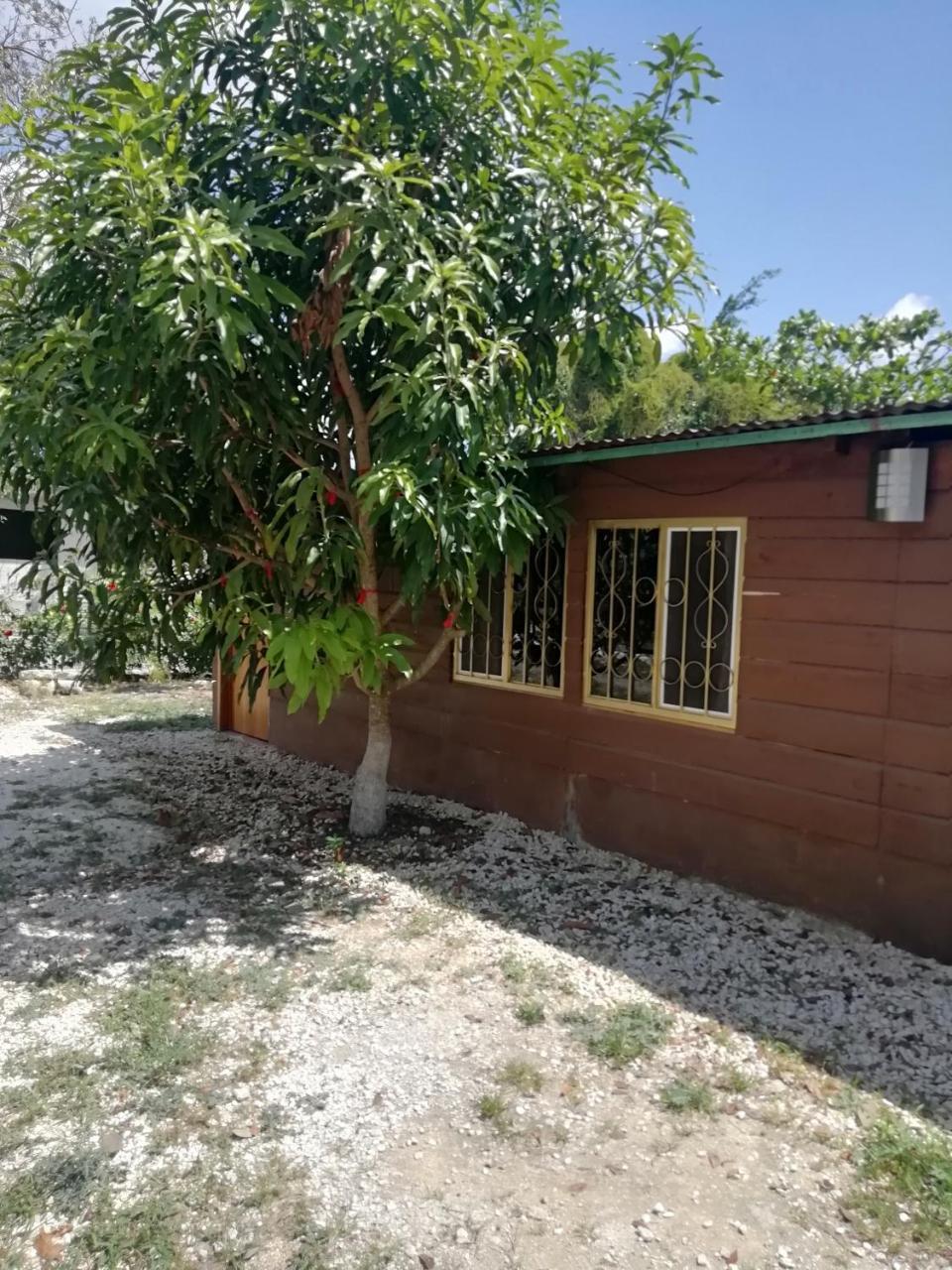 Cabanas Chaac Calakmul Xpujil Bagian luar foto