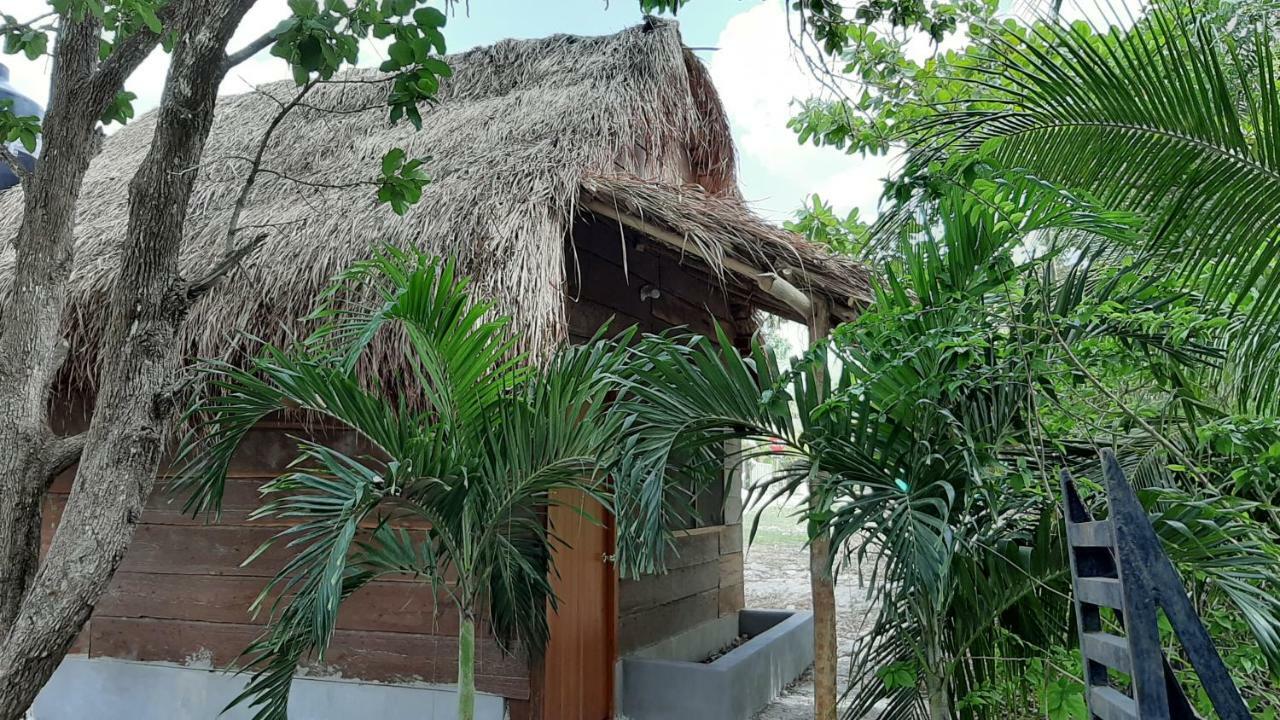 Cabanas Chaac Calakmul Xpujil Bagian luar foto